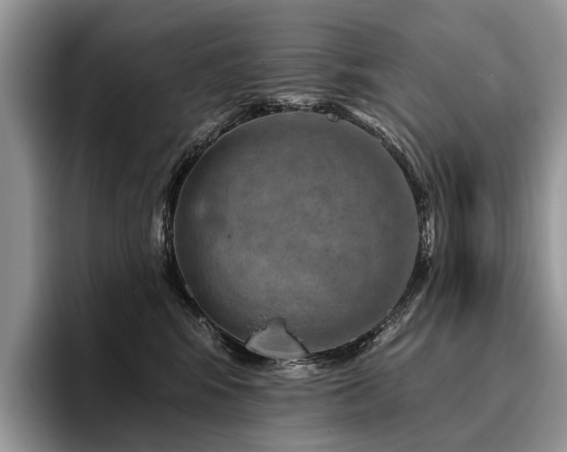 X0000096190424200801181325