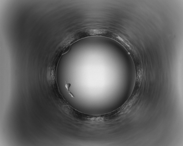 X0000096190426200801181325
