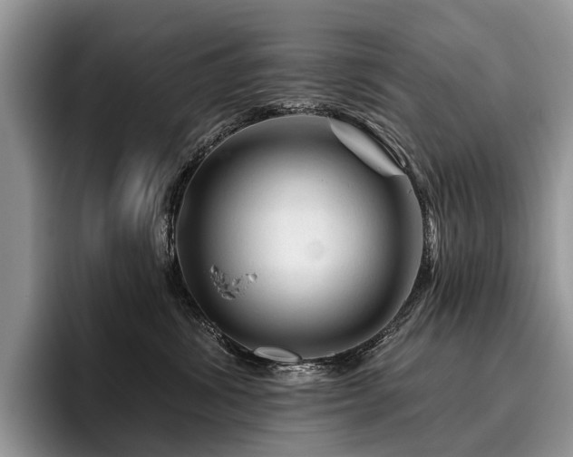 X0000096190428200801181325