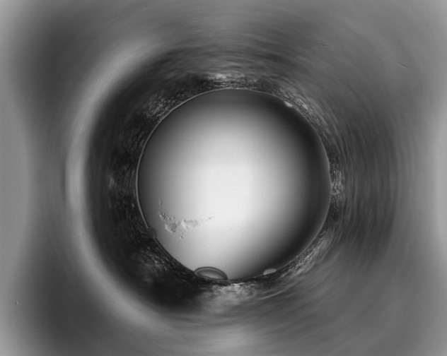X0000096190430200801181325