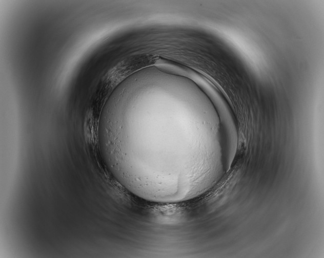 X0000096190431200801181324
