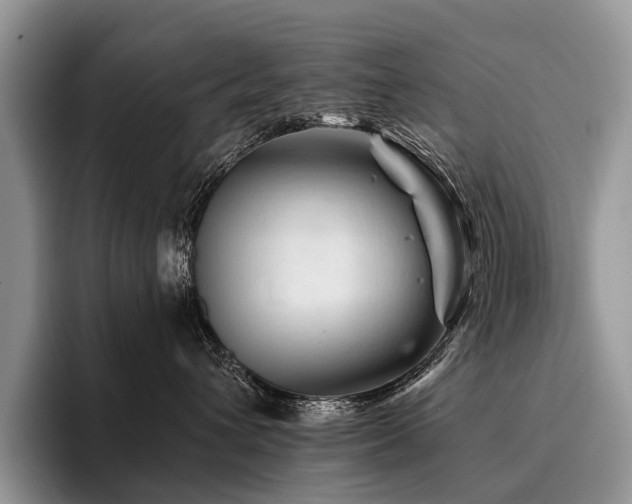 X0000096190432200801181324