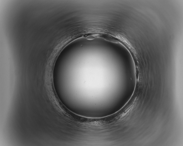 X0000096190433200801181324