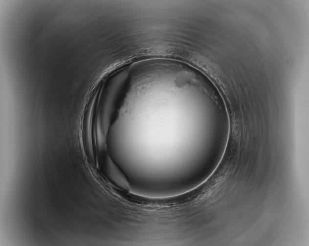 X0000096190434200801181324