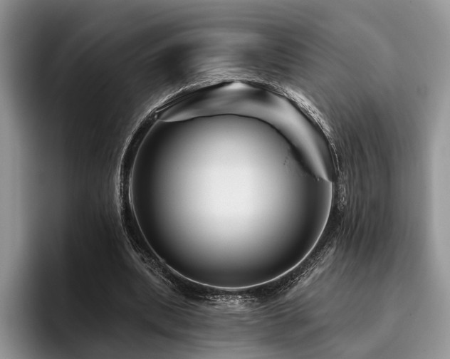 X0000096190439200801181324