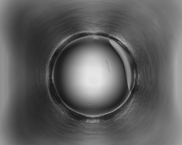 X0000096190440200801181324