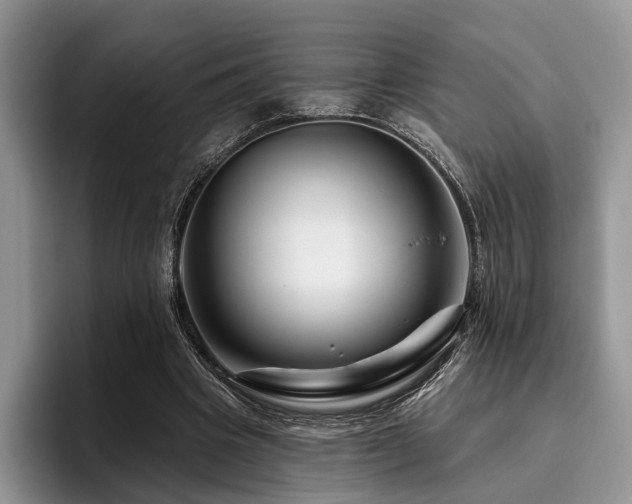 X0000096190441200801181324