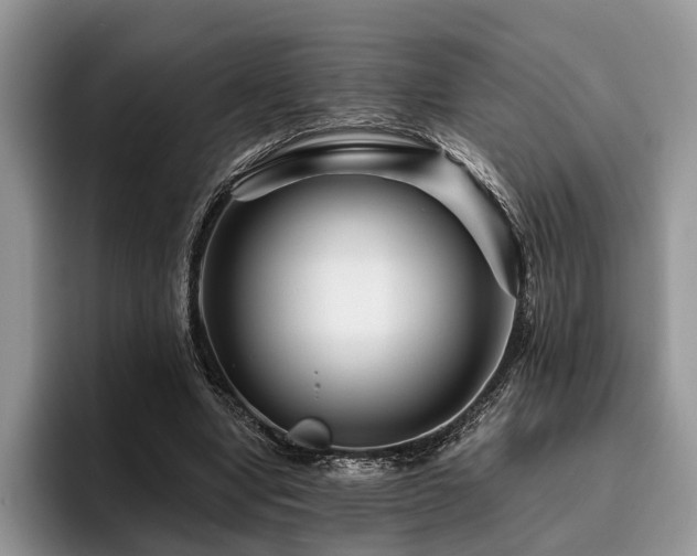X0000096190442200801181324