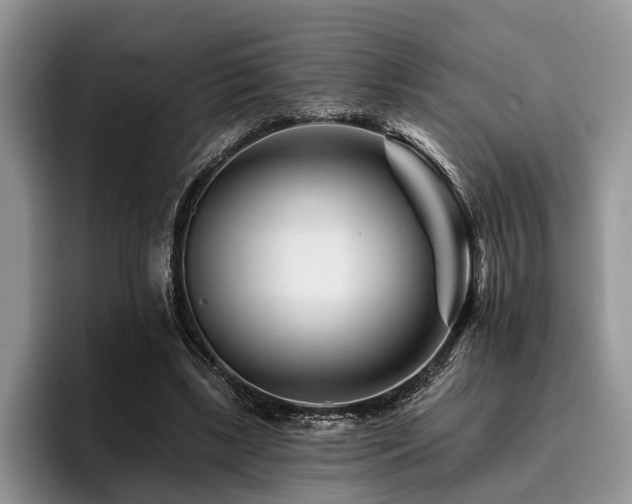 X0000096190443200801181324