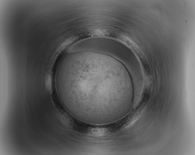 X0000096190444200801181324