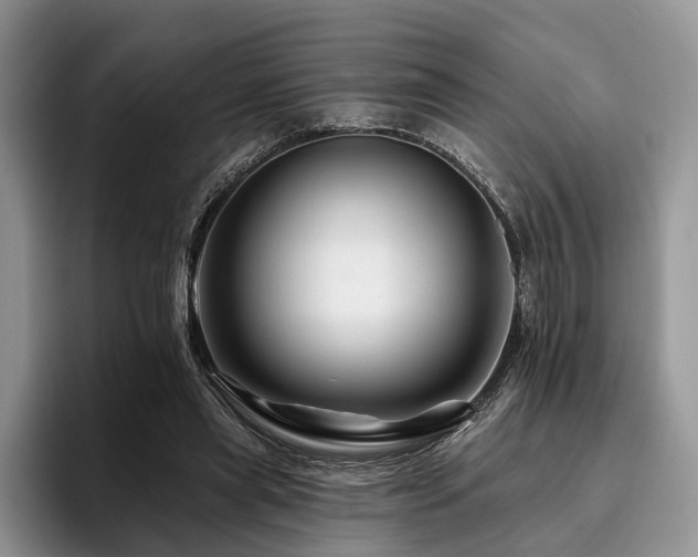 X0000096190445200801181324