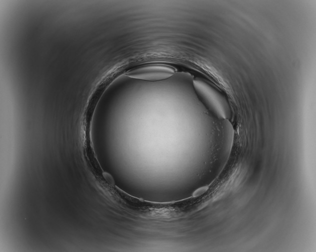 X0000096190446200801181324