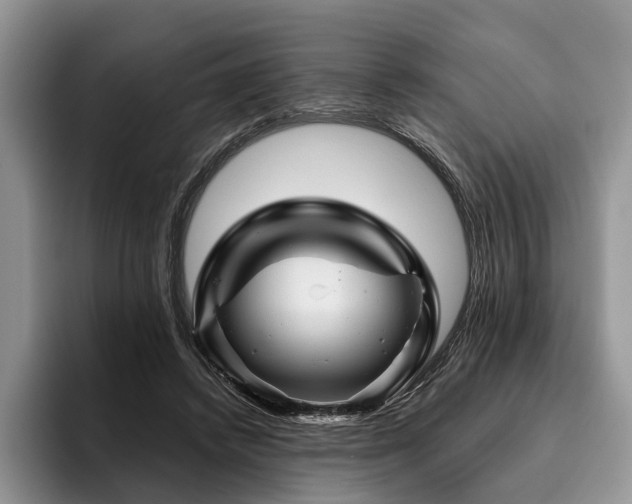 X0000096190448200801181324