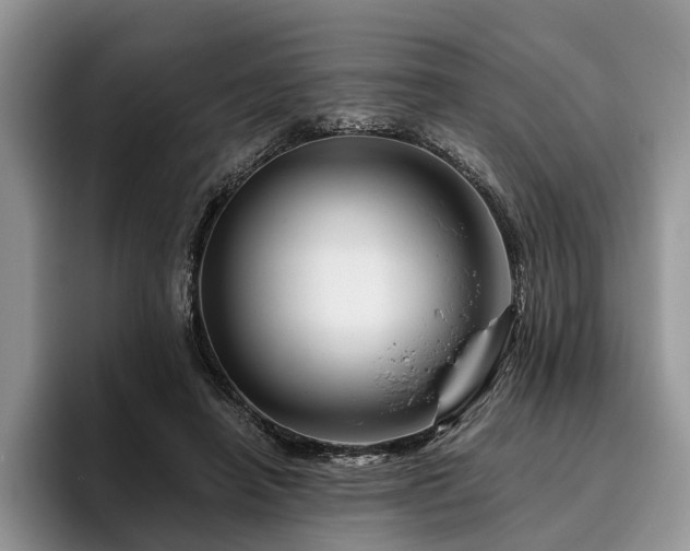 X0000096190450200801181324