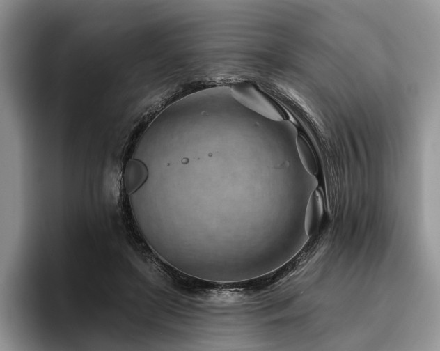 X0000096190451200801181324