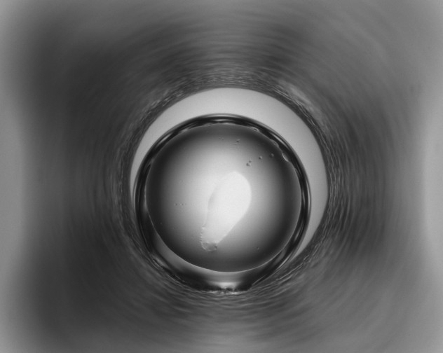 X0000096190452200801181324
