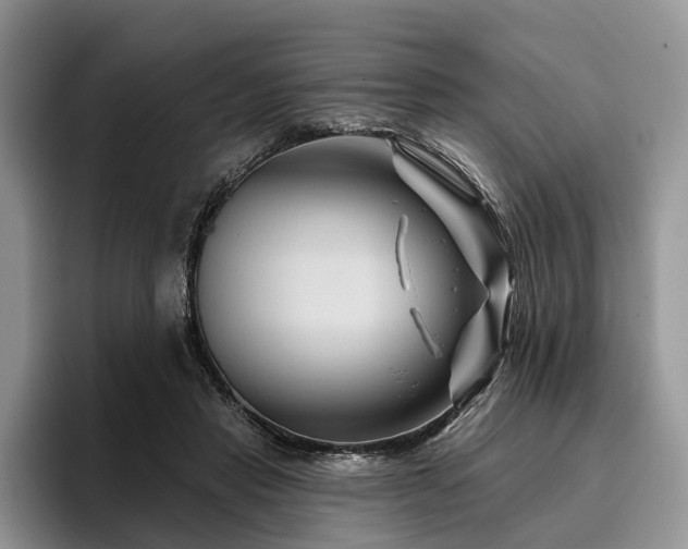 X0000096190453200801181324