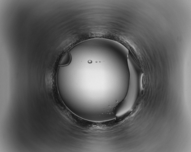 X0000096190455200801181324