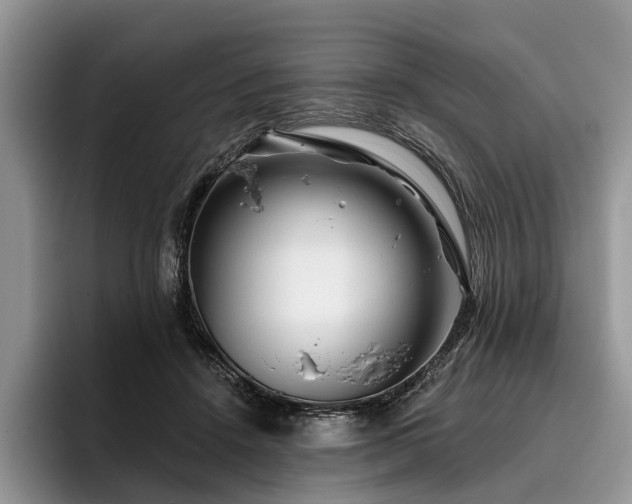X0000096190456200801181324