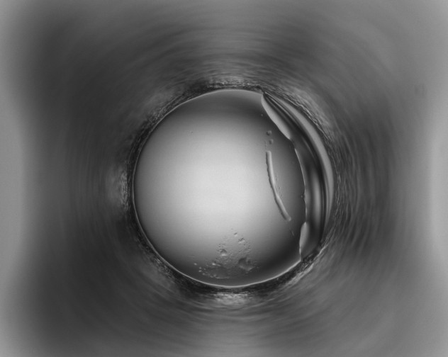 X0000096190457200801181324