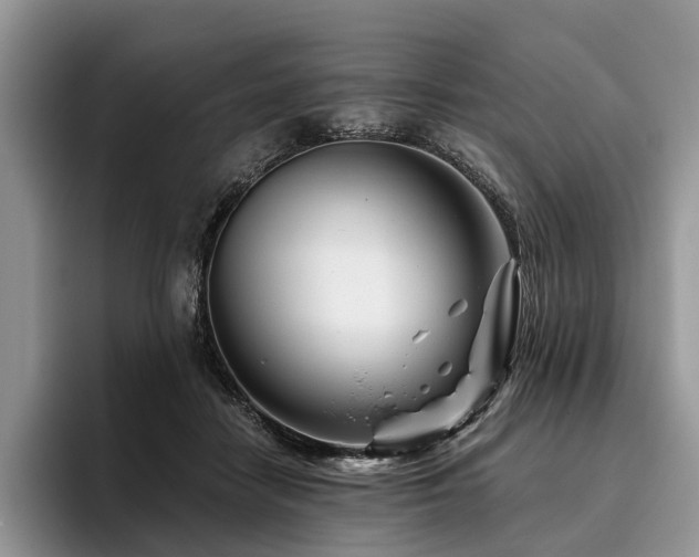 X0000096190458200801181324