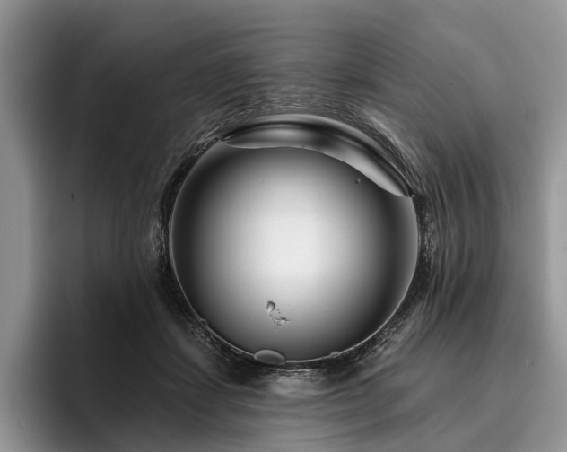 X0000096190459200801181324