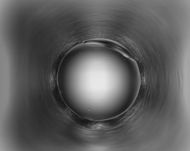X0000096190460200801181324