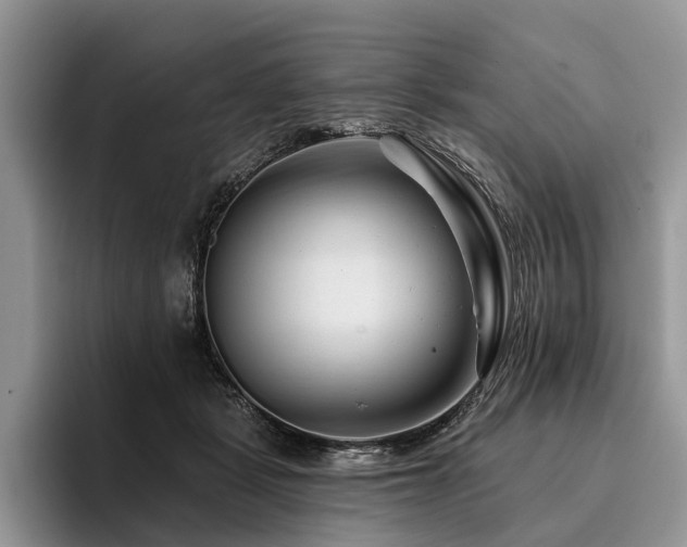 X0000096190461200801181324