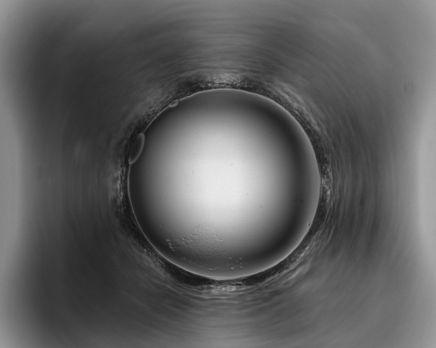 X0000096190462200801181324