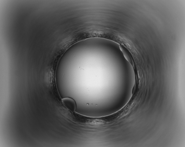 X0000096190463200801181324