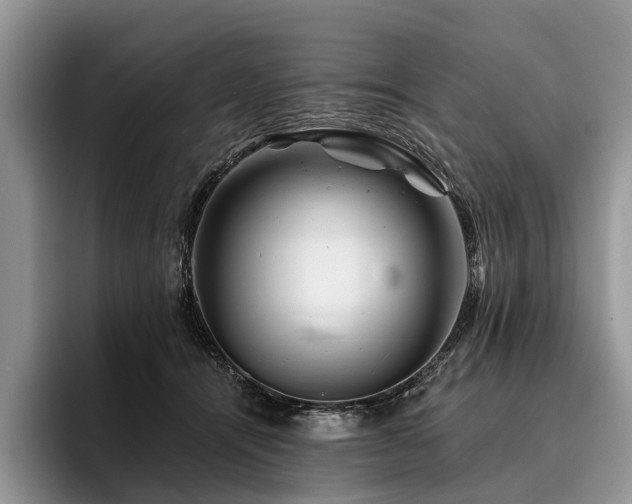 X0000096190464200801181324