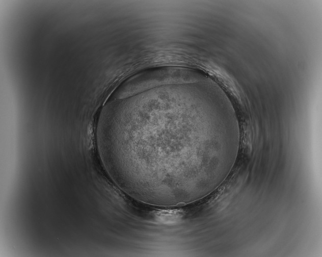 X0000096190465200801181324
