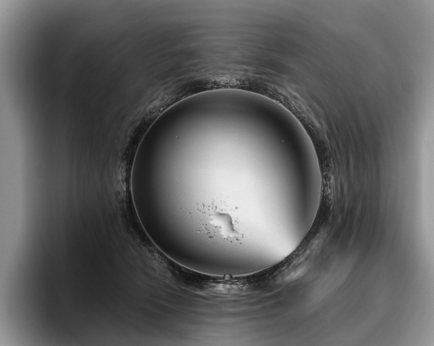 X0000096190466200801181324