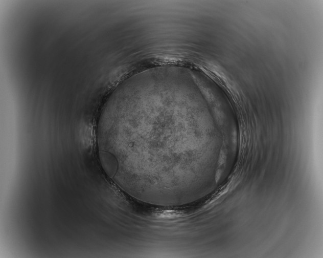 X0000096190467200801181324
