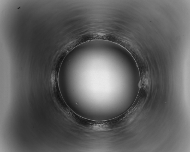 X0000096190468200801181324