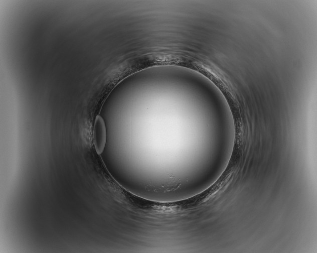 X0000096190469200801181324