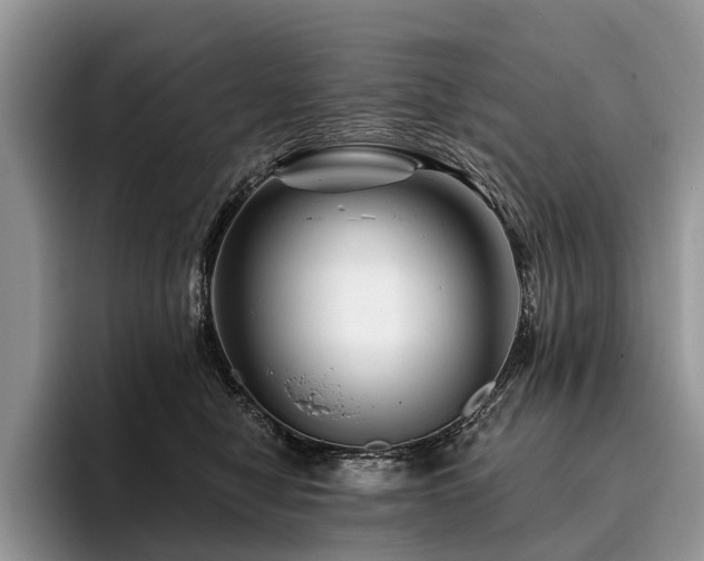 X0000096190470200801181324