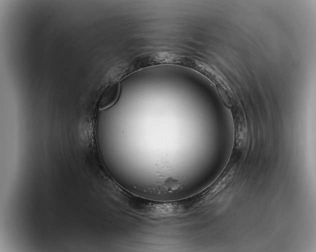 X0000096190473200801181324