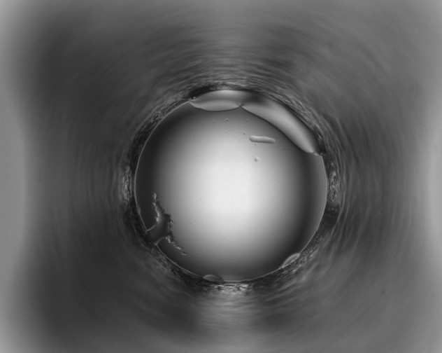 X0000096190474200801181324