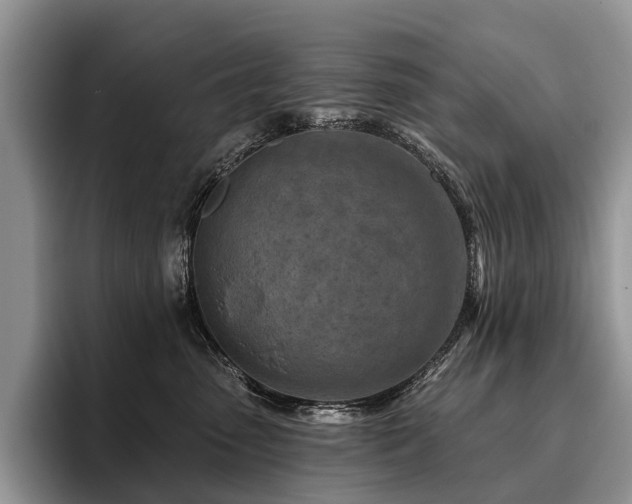 X0000096190475200801181324