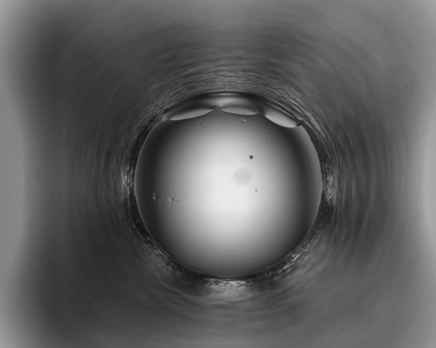 X0000096190476200801181324
