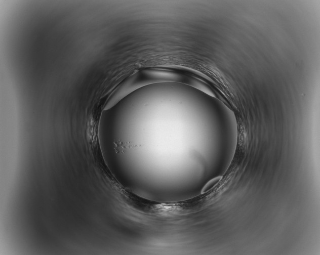 X0000096190477200801181324