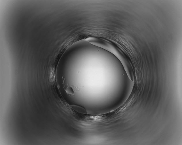 X0000096190478200801181324