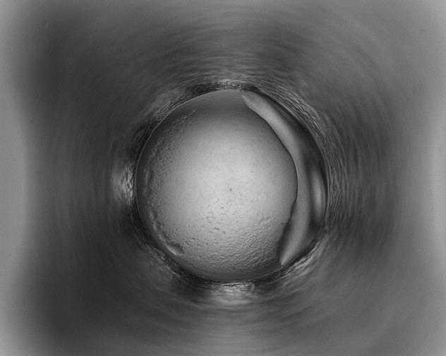 X0000096190479200801181324