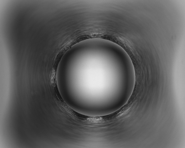 X0000096190480200801181324