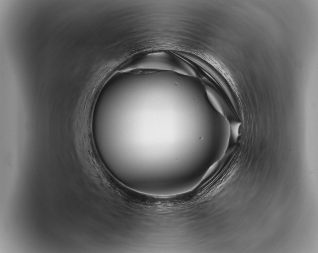 X0000096190481200801181324