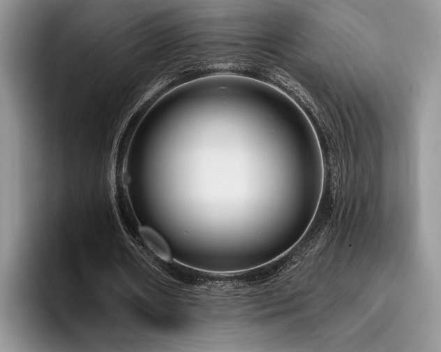 X0000096190482200801181324
