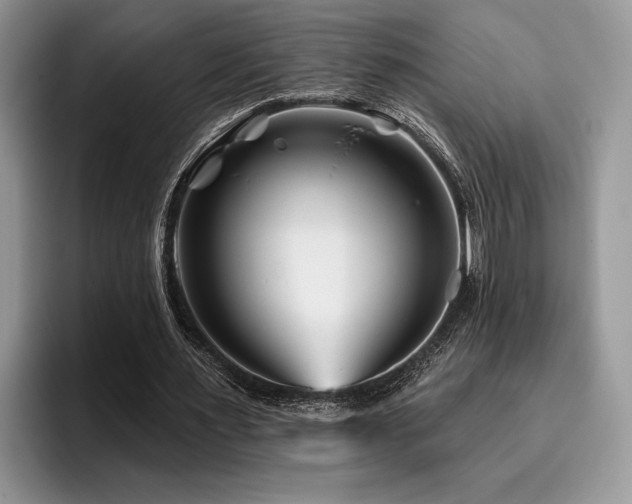 X0000096190483200801181324