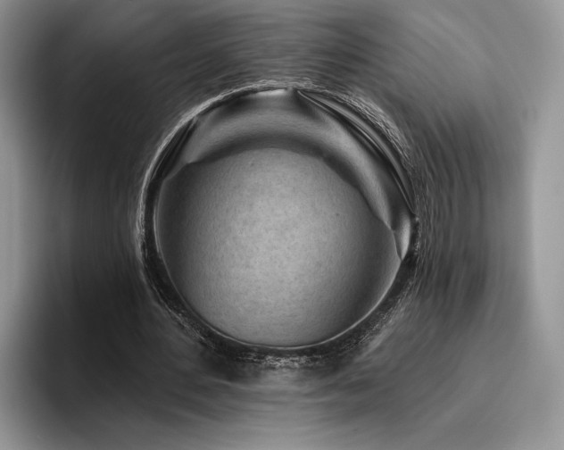 X0000096190484200801181324