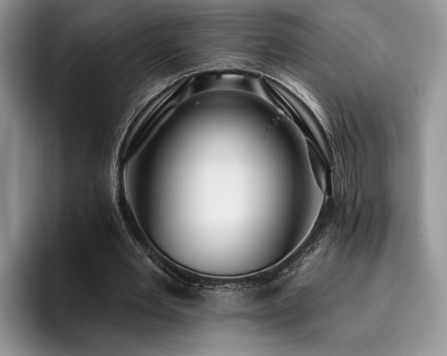 X0000096190485200801181324